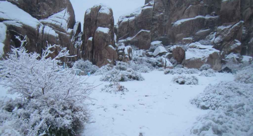 Large rocks are dusted with snow in Joshua Tree National Park